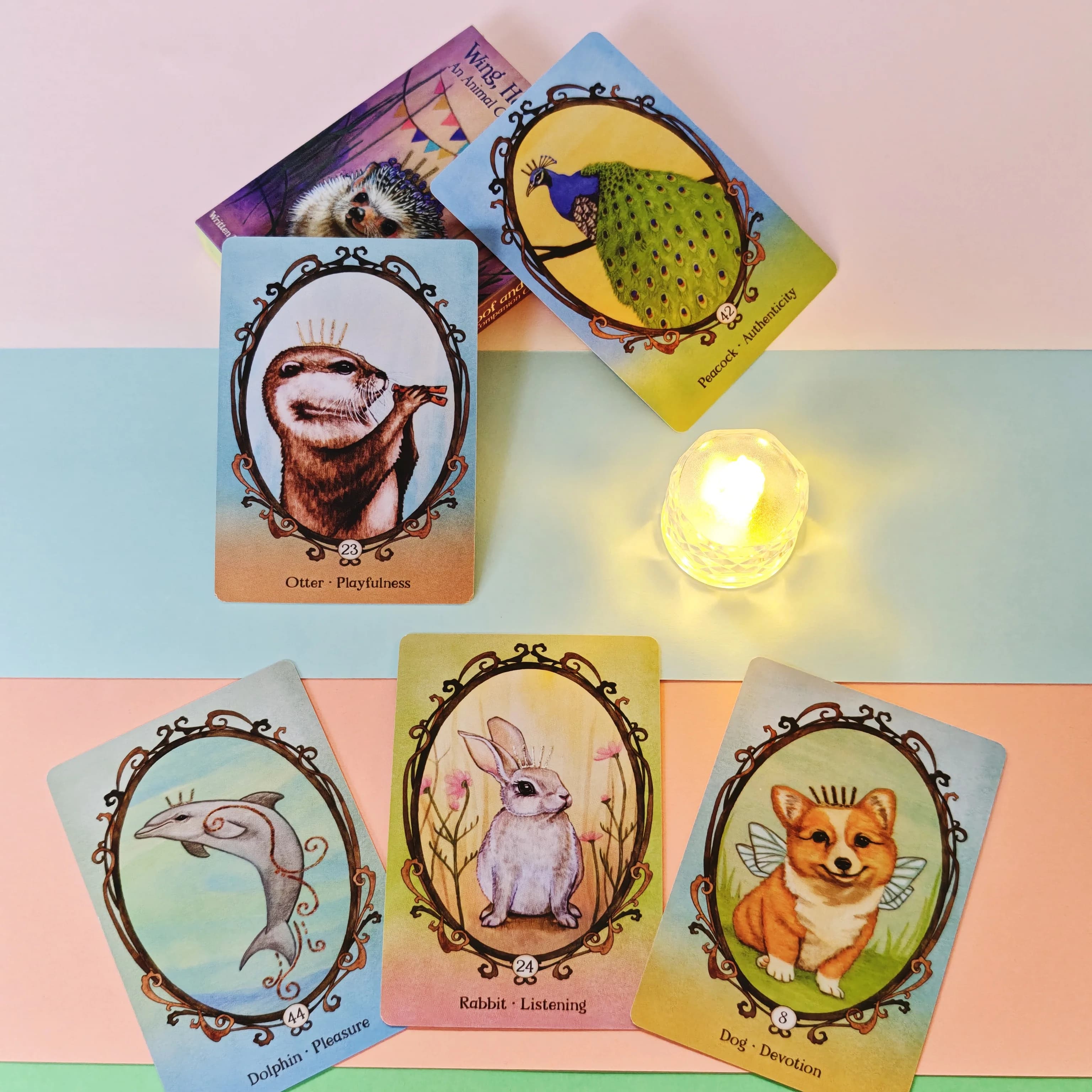 Ala Zoccolo e Zampa Oracle 44 pezzi Carte Versione inglese Mazzo di tarocchi Divinazione Festa Divinazione Edizione Mazzo Giochi da tavolo