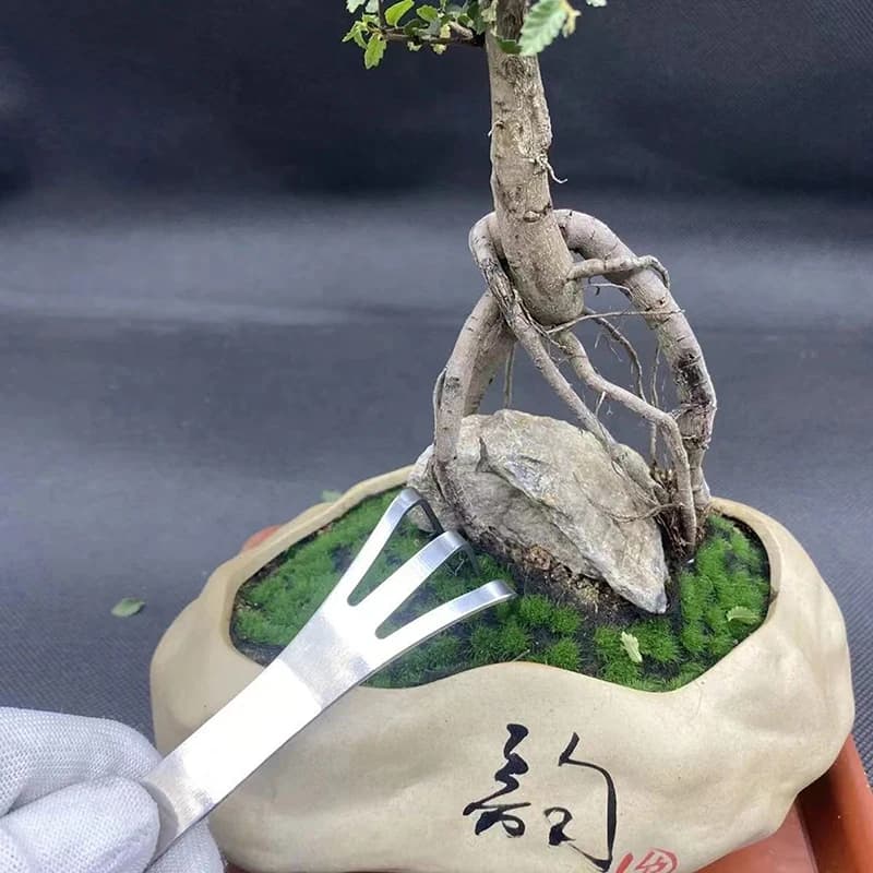 1PC Stainless Steel Radical Bonsai Pot Plants 3-Prong Workmanship Tool Palm Anti Rust Rake Home Gardening Tool