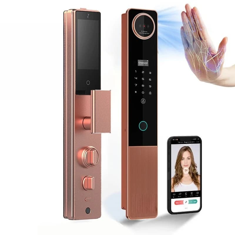 Serratura elettronica per porta con impronta digitale con riconoscimento facciale 3D con stampa palmo intelligente Wifi dorata con fotocamera