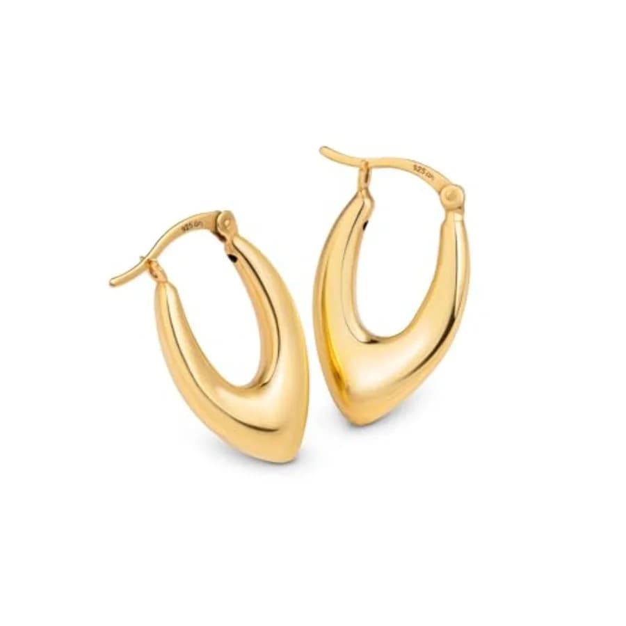 Orecchini a Cerchio Spessi in Argento Sterling 925 per Donne, Cerchi Leggeri a Cupola Spessa