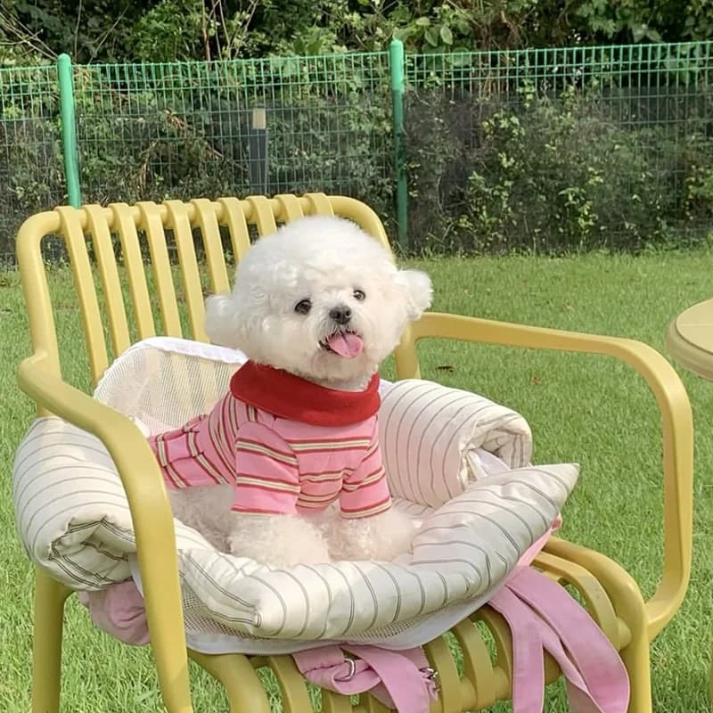 Vestito Rosa a Righe per Cani con Colletto, Abito Primaverile/Estivo Casual Dolce Anti-perdita di Pelo, Pullover per Cani di Piccola Taglia XS-XL