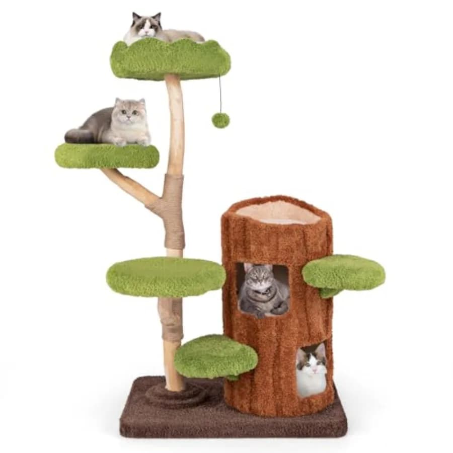 Albero per Gatti in Legno Massello per Gatti da Interno, Grande, per Adulti, a 2 Livelli, con Tana, Tiragraffi, Rami in Legno e Pannello Superiore in Sisal