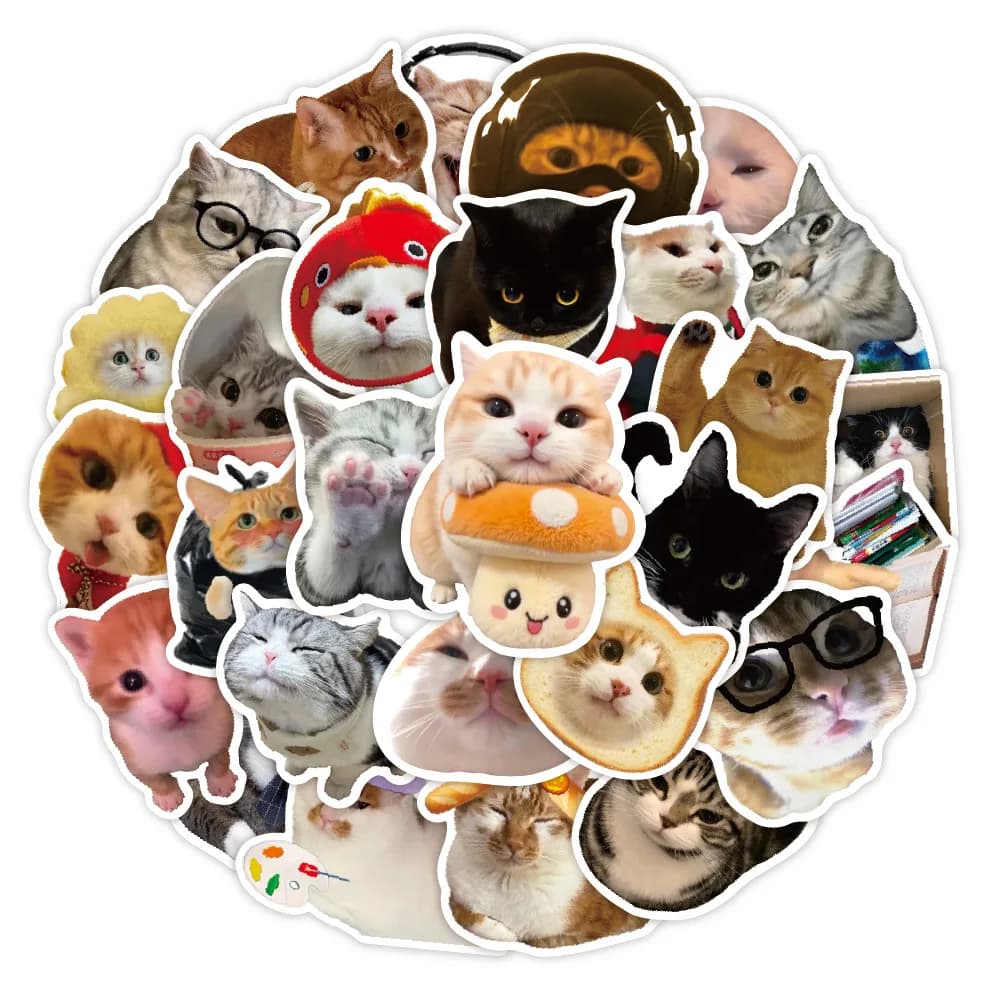 50 pezzi adesivi gatto divertente cartone animato simpatico gatto meme decalcomanie chitarra telefono bicicletta laptop bagagli adesivi graffiti per auto
