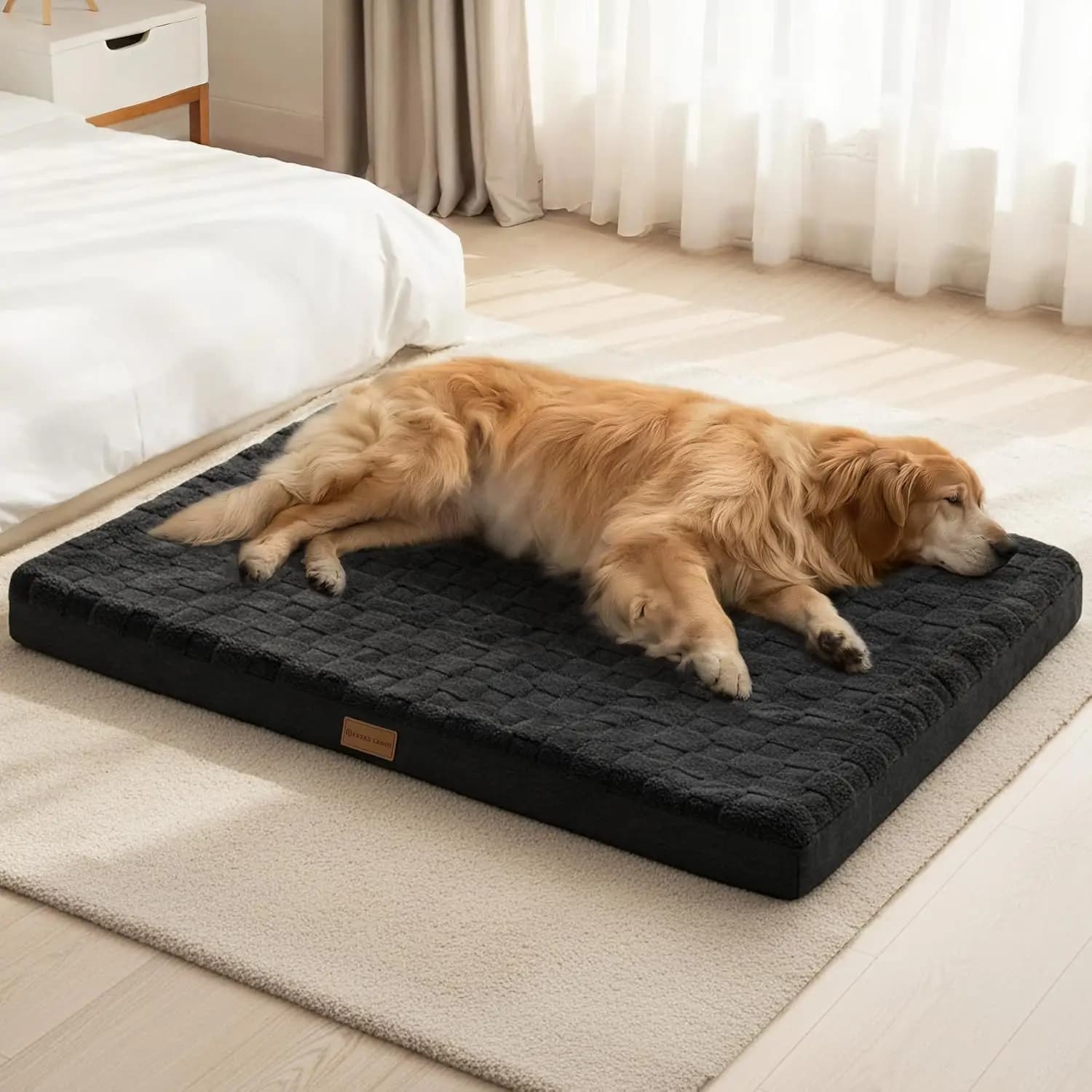 Cuccia Ortopedica Grande per Cani 36x24, in Schiuma a Nido d'Ape Impermeabile e Morbida con Rivestimento Rimovibile e Lavabile e Fondo Antiscivolo, Nera