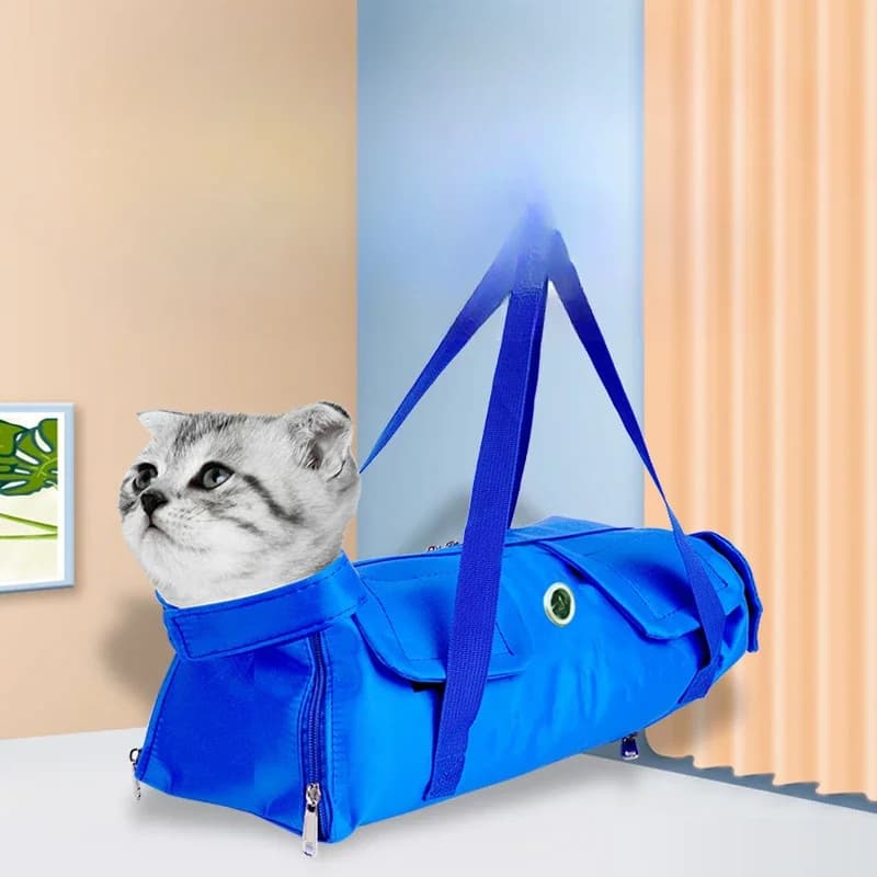 Zaino portatile per gatti Gita estiva per animali domestici Pieghevole Afferrare morso Borsa fissa per gatti Forniture per animali Trasporte Borsa per gatti per animali domestici Borse da viaggio per gatti