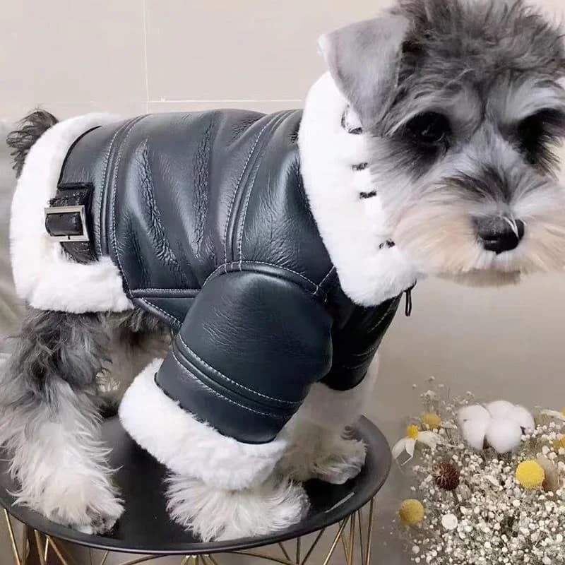 Cappotto invernale per cani Giacca in ecopelle in pile Teddy Abbigliamento caldo per cuccioli di animali domestici