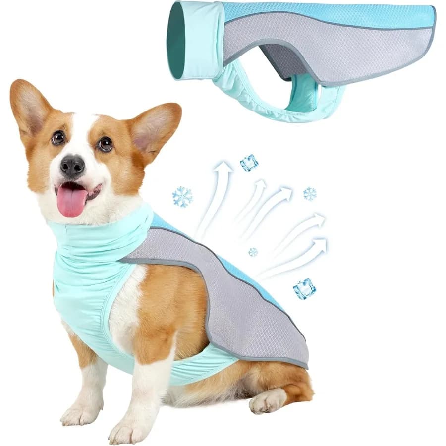Gilet rinfrescante per cani per camicia rinfrescante estiva in rete traspirante Giacca per cani Imbracatura estiva leggera rinfrescante per cani Pe