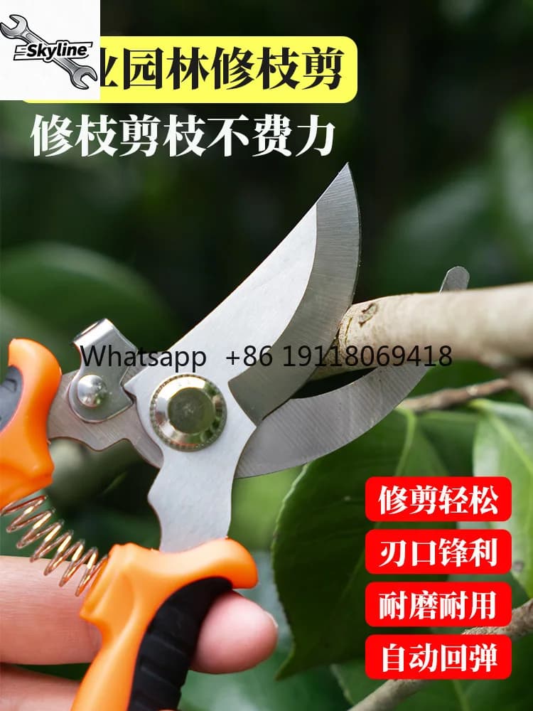 Cesoie da potatura per la raccolta di frutta, artefatti, strumenti speciali, forbici per fiori da giardinaggio, forbici per potatura domestica in acciaio inossidabile