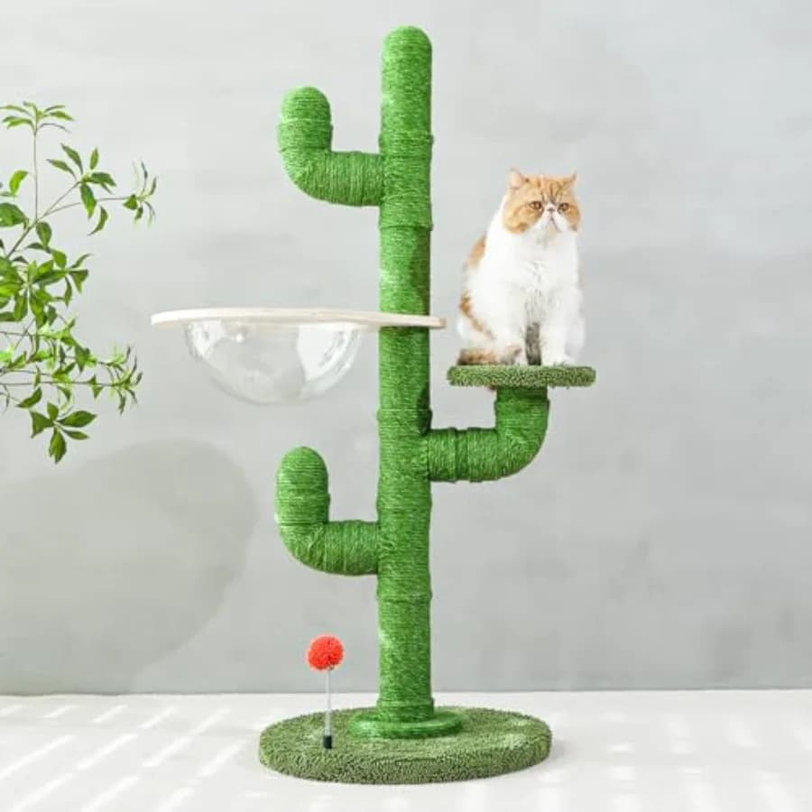 Tiragraffi per Gatti a Forma di Cactus, 47 cm di Altezza, per Gatti da Interno, con Amaca Accogliente e Palla da Gioco