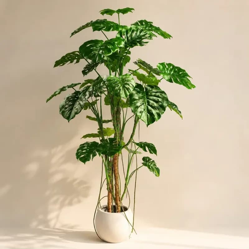 2. Artificial Monstera Plant Plastic Monstera Deliciosa Tree Faux Bonsai Plant for Office Home Decoration