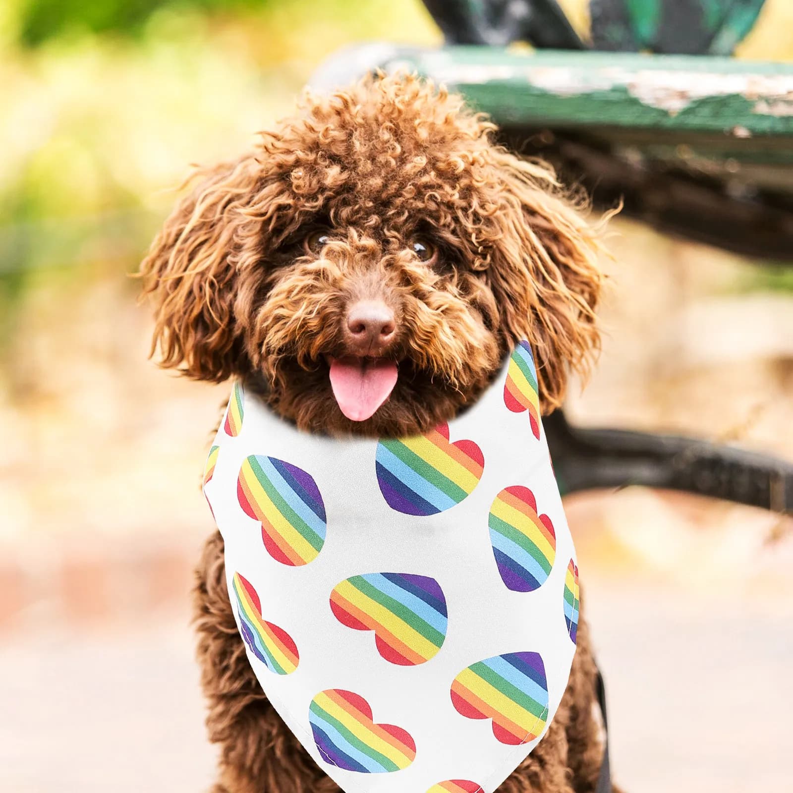 Bandana Triangolare per Cani, Morbida e Lavabile, Sciarpa Arcobaleno per Animali Domestici, Accessorio per Costume di Cuccioli e Gatti, Decorazione per Feste di Compleanno