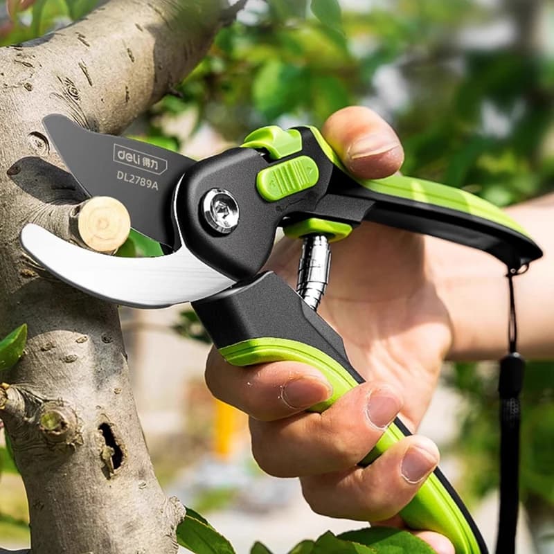 Cesoie per rami da giardinaggio Cesoie da potatura multiuso Risparmio di manodopera Forbici per rami di fiori per alberi da frutto Utensili manuali portatili