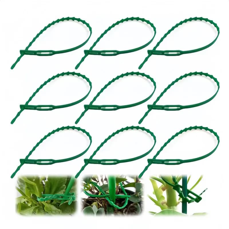 62pcs17cmSelfLockStyleFishbone Cable Tie CanRepeatAdjustLooseTight Suitable forGardeningClimbing VinePlant、VineFixing、Flowers