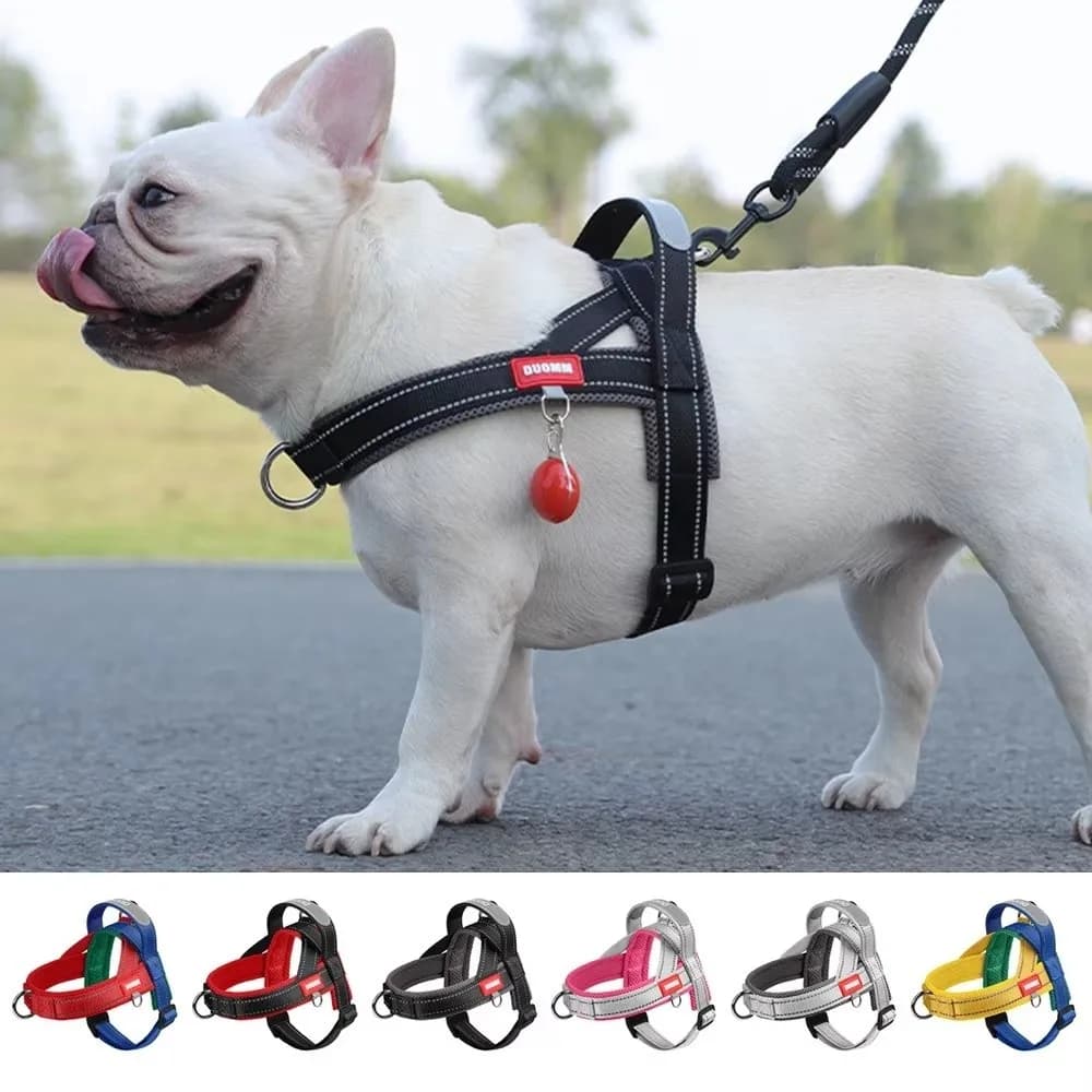 Kit di imbracatura per cani con colori impiombati Cinghie da passeggio per animali traspiranti regolabili Collare per cuccioli con design anti-pull a prova di fuga
