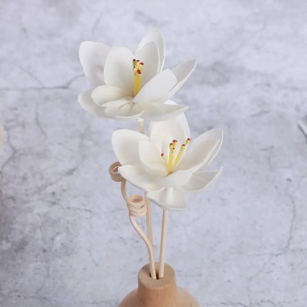 Bastoncini diffusori per soggiorno, fragranze naturali volatili fatte a mano, multiuso, incenso aromatico, fiori di Tongcao, fiori secchi