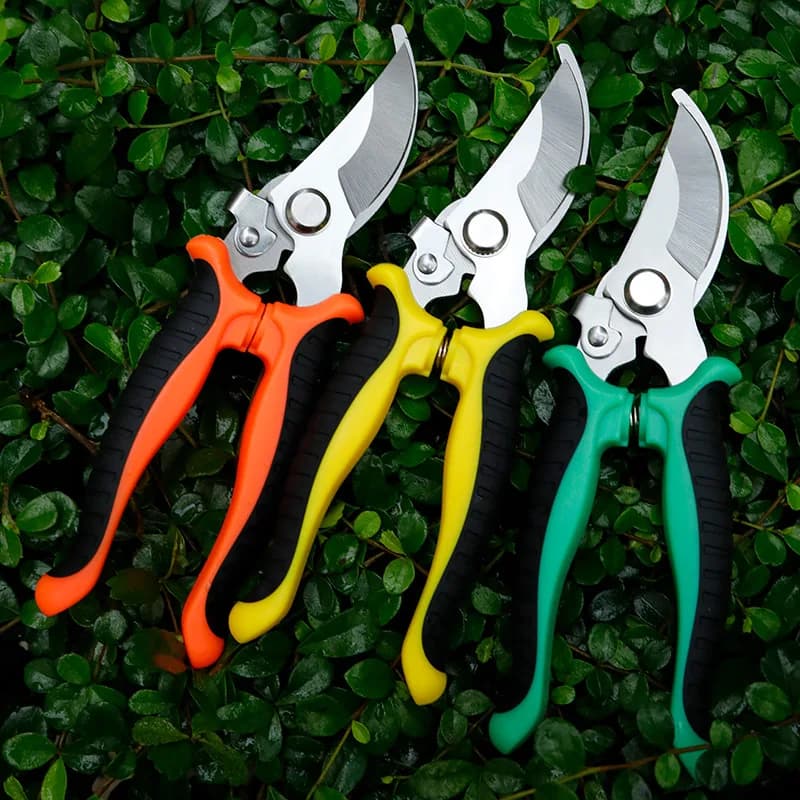 Horticultural Scissors Bird Beak Shape Branch Pruning Labor Saving Pruning Stainless Steel Picking Multifunctional Fruit Scissor
