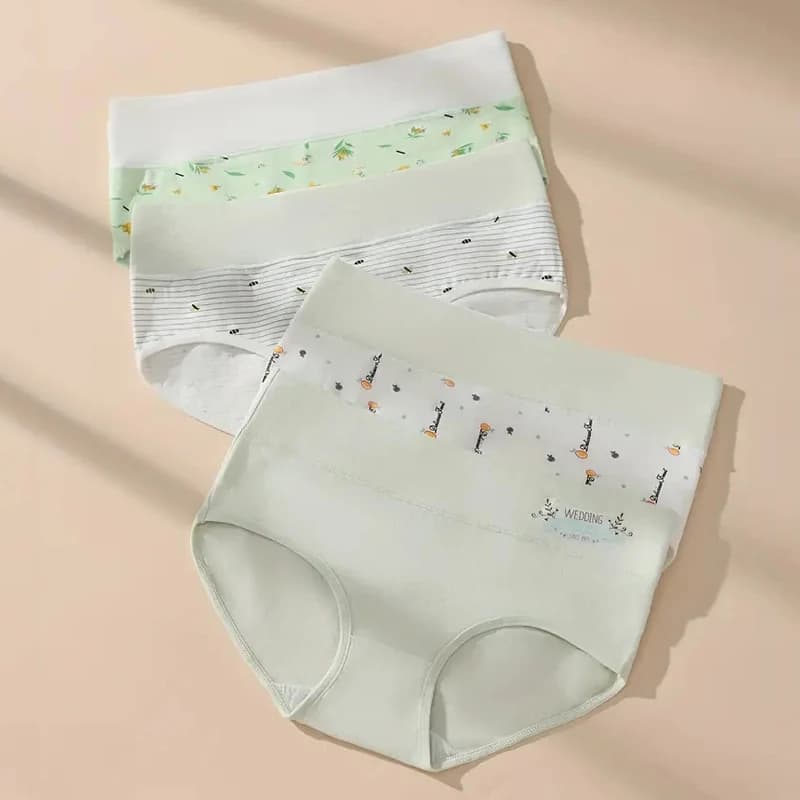 New 4Pcs Women Panties High Waist Underwear Print Girls Briefs Slim Soft Underpants Breathable Cotton Sexy Panty Ladies Lingerie