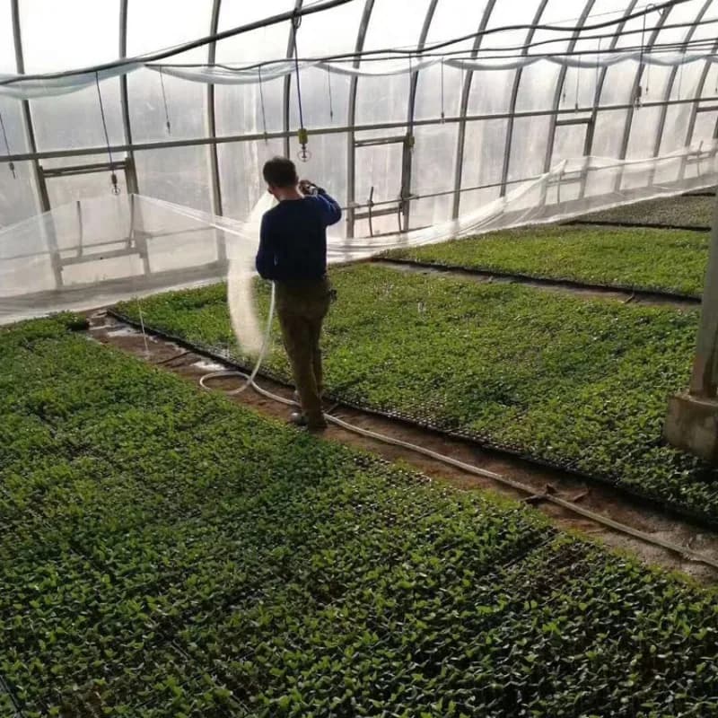 Vendita calda prodotta in Cina Seminatrice automatica per semi di tabacco, verdure e vassoi di precisione per fiori