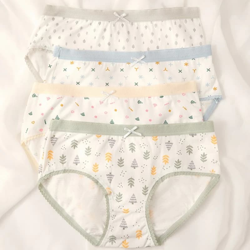 Women's Underwear Cotton Slips for Japanese Pastoral Students Sexy Lingerie for Pretty Girls Printed Lace Women's Underwear