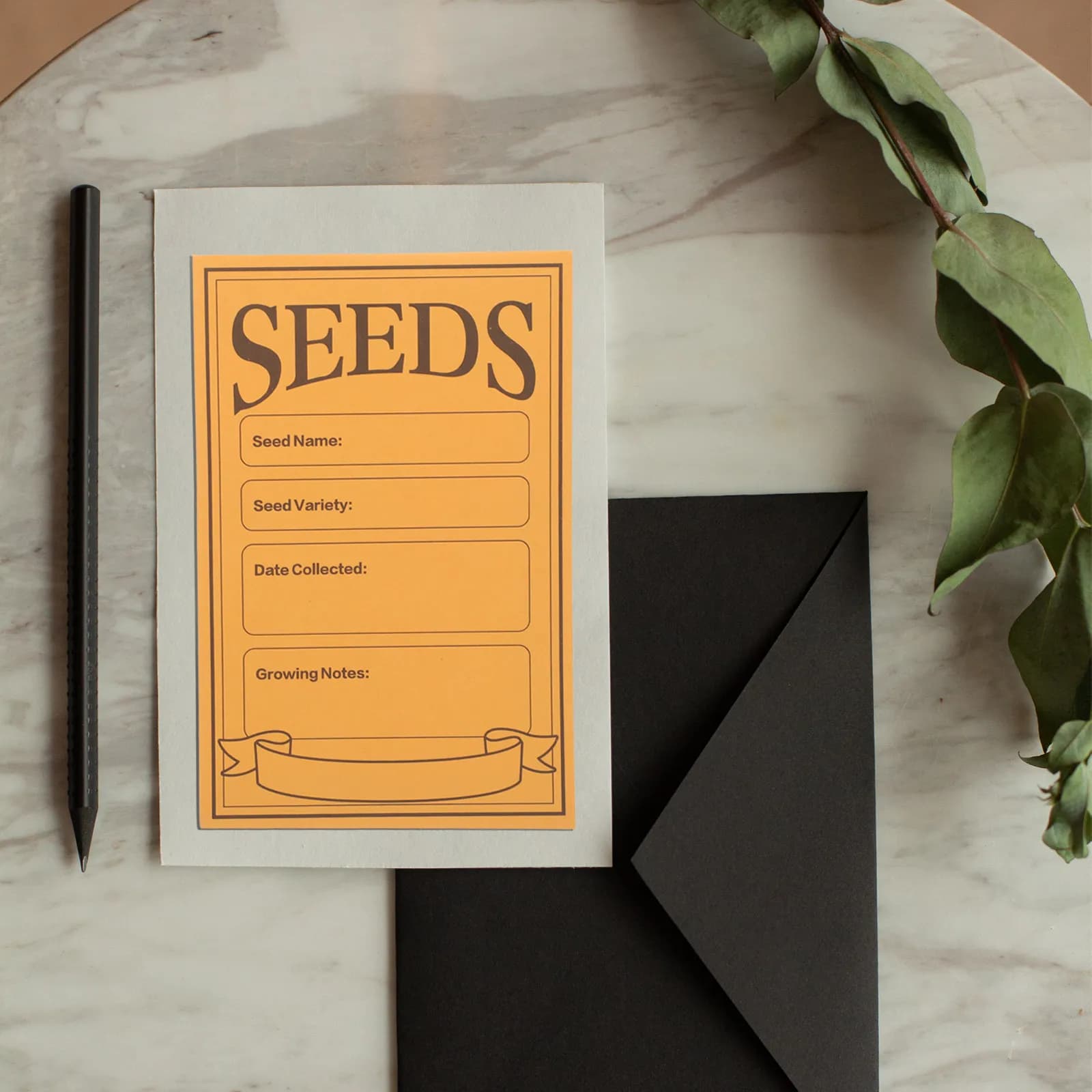 100 Buste di Carta per Semi in Materiale Kraft, Piccole Buste per Conservazione, Smistamento ed Etichettatura di Semi di Fiori, Piante e Verdure