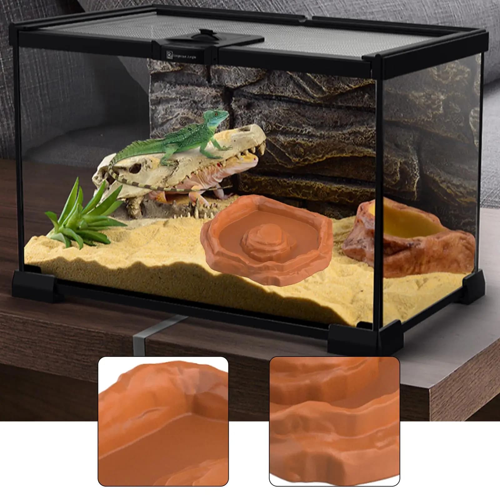 Ciotola d'Acqua per Tartarughe, Decorazione d'Angolo, Terrario per Rane e Serpenti, Accessori per Animali Domestici