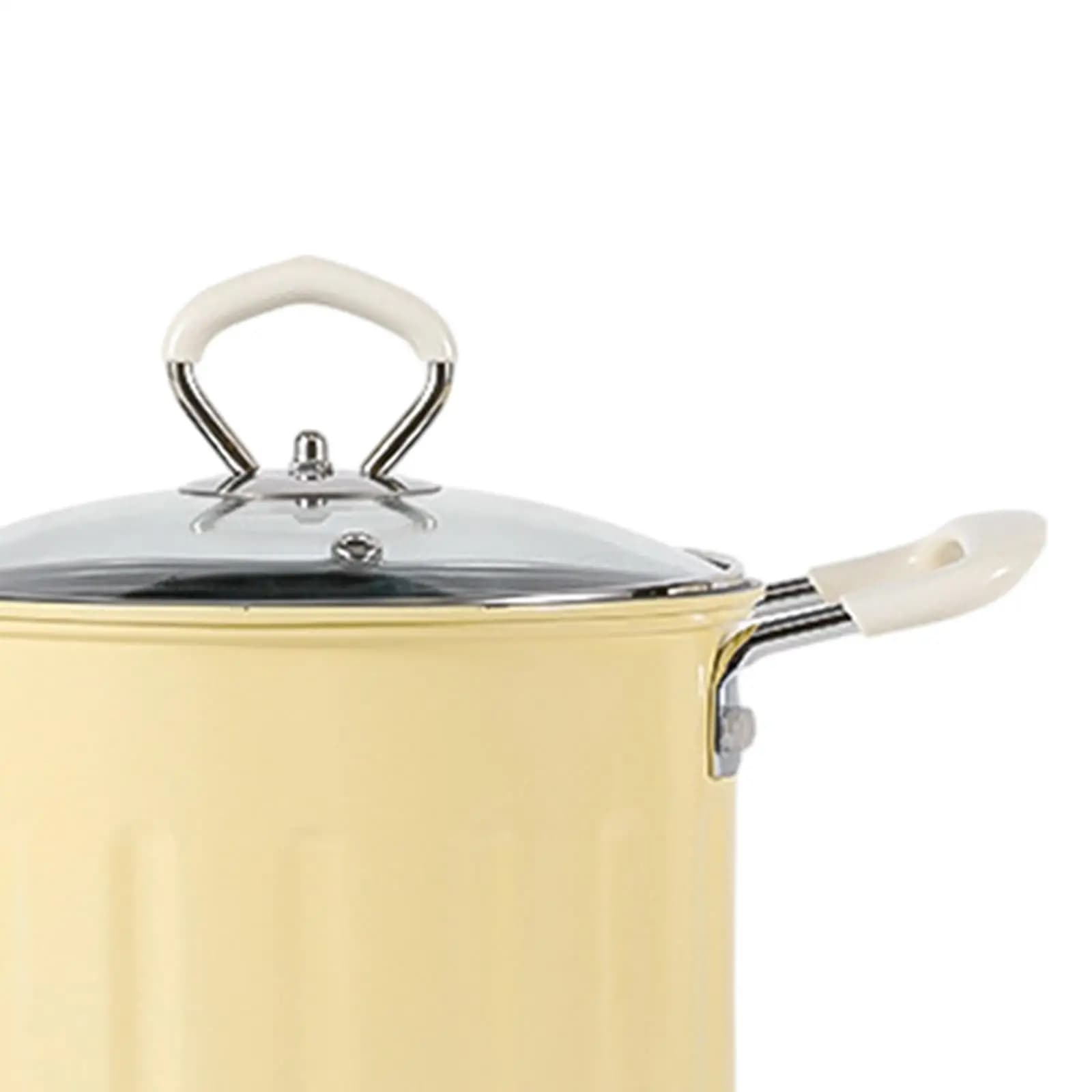 Deep Frying Pot with Lids Cooking Tools with Basket Deep Fryers Frying Pot for Party Restaurant Fried Chicken Legs