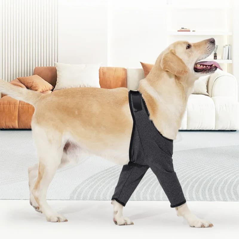 animali domestici vestiti per cani dogleg Custodia protettiva isolante Ginocchiere per cani protezione per le gambe equipaggiamento protettivo protezione per il gomito del cane Ginocchio anti-licker pa