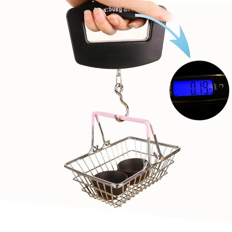 Bilancia Elettronica Digitale Portatile da 50kg con Gancio per Pesca, Bagagli, Casa, Supermercato e Pesa Pacchi