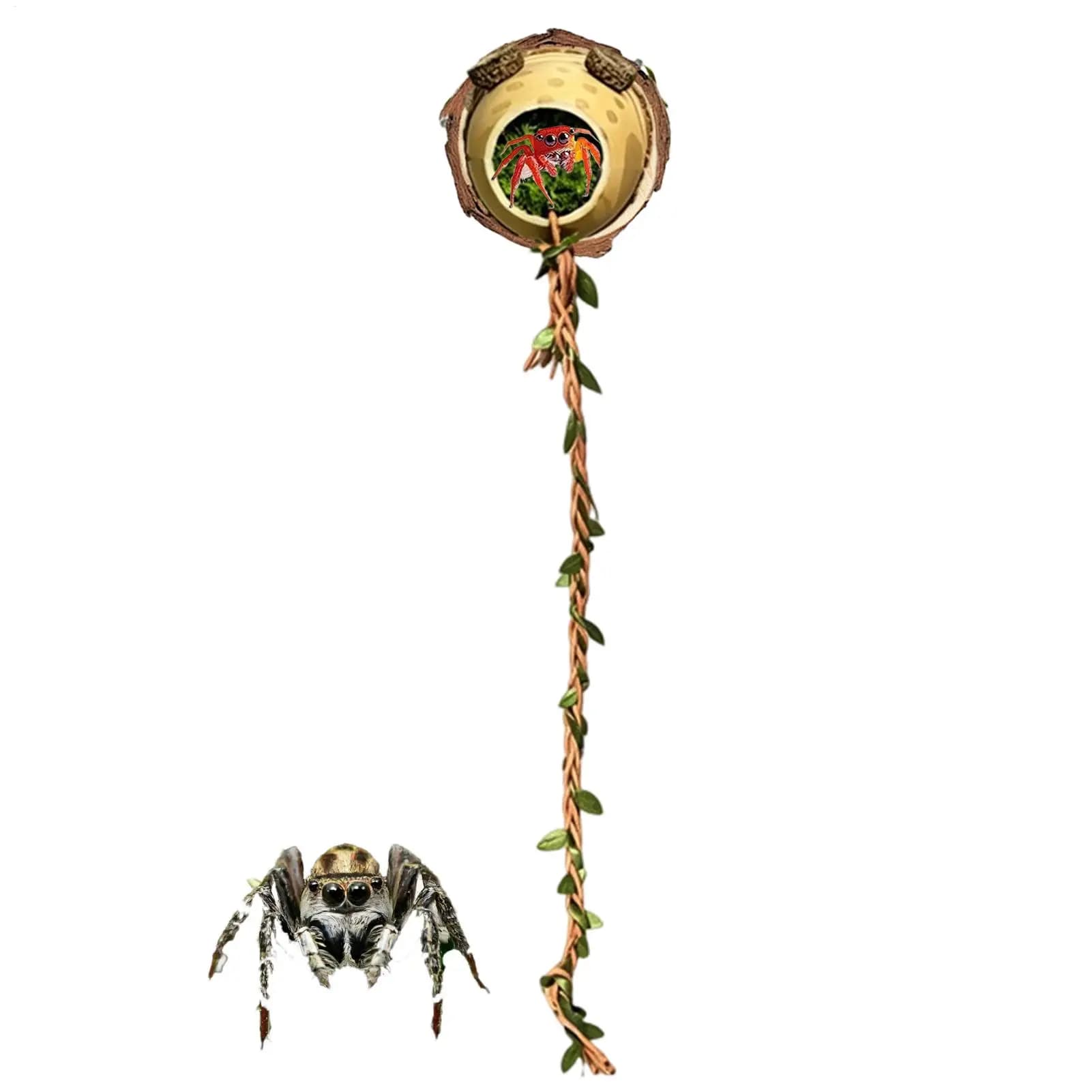 Jumping Spider Enclosure Cave Magnetic Funny Decorative Spider Shelter Climbing Rope For Small Reptiles Cage Playing Exploration