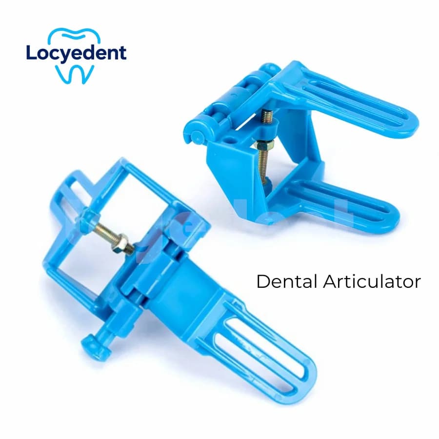 10 pcs. Plastic Dental Articulator, Mascella Structure, Supplies and Dental Laboratory Tools, Tooth Whitening Materials