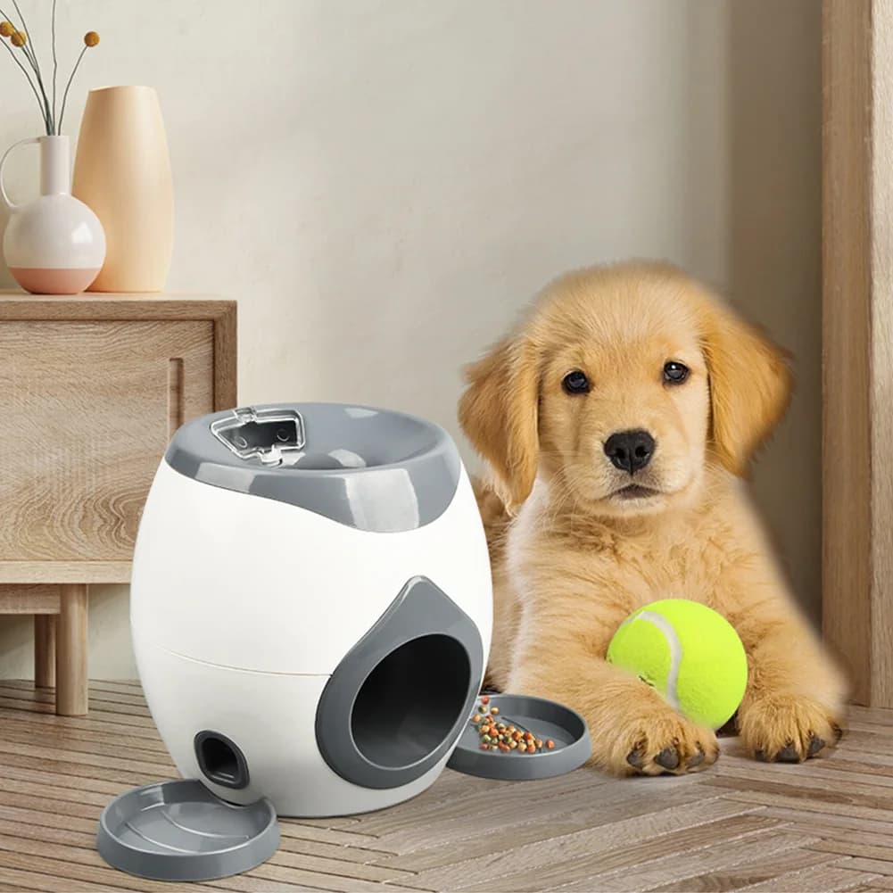 Lanciatore automatico di palline per cani Macchina per ricompensa alimentare da tennis per cani Lanciatore interattivo di palline per cani Alimentatore per palline da tennis per cani