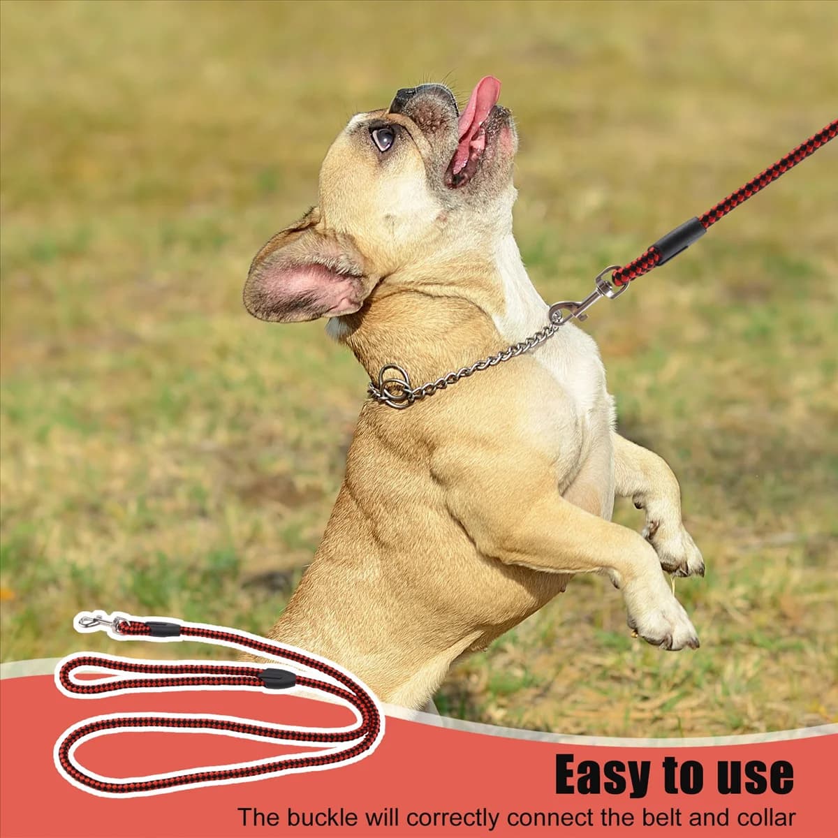 Guinzaglio per cani con treccia in pelle artificiale KEKA - S