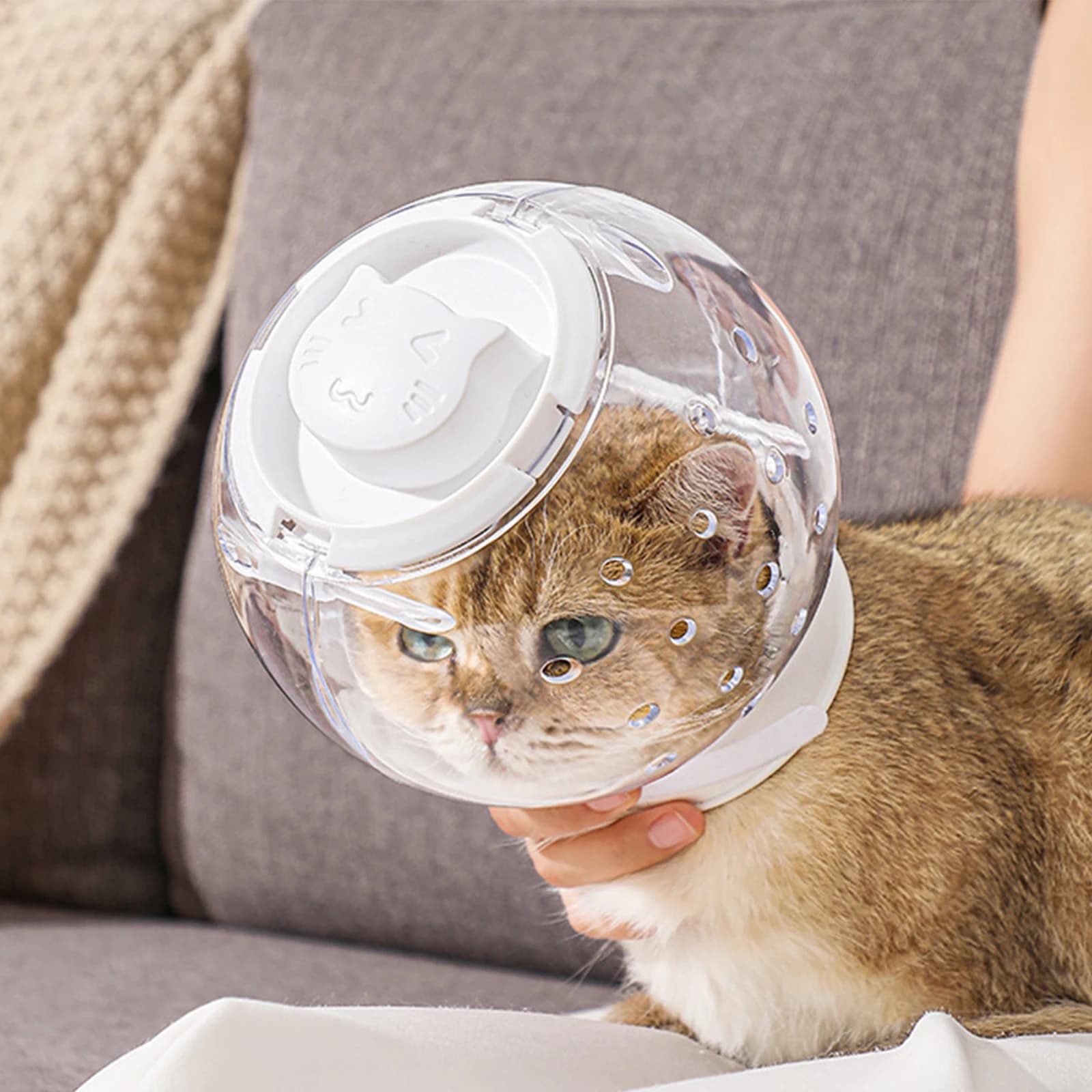 Museruola per gatti traspirante protettivo Anti leccare Pet Cat Grooming Hood caschi per gatti copertura per bocca di gatto museruole Anti morso per il bagno