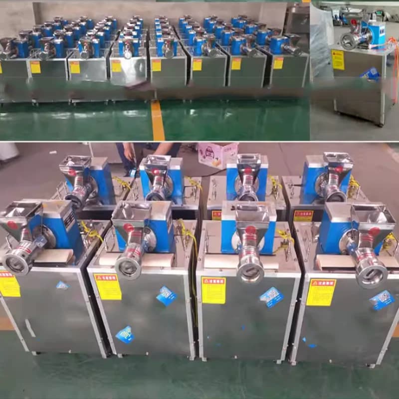 Macchina Automatica per Pasta in Acciaio Inox di Facile Utilizzo, Estrusore per Maccheroni e Spaghetti