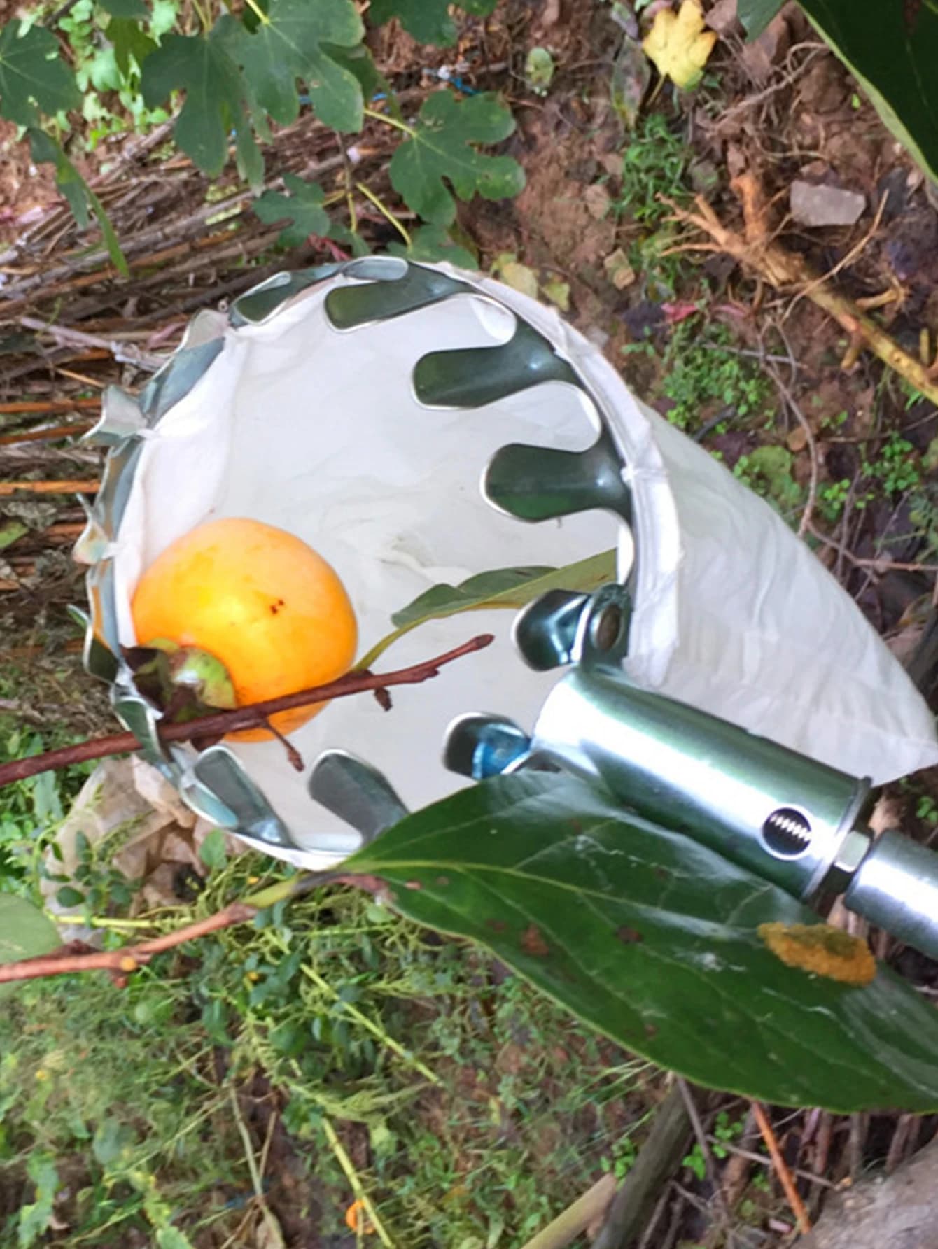 Strumenti telescopici per la raccolta di frutta Asta ad alta quota per varie altezze Catcher per la raccolta di frutta da giardino Strumenti per la raccolta di arancia fresca