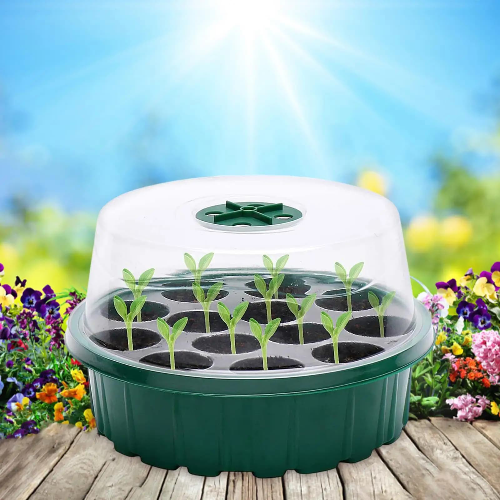 13-cell plastic seed trays set with mini greenhouse kit with adjustable dome vent for germination of plants and indoor flowers