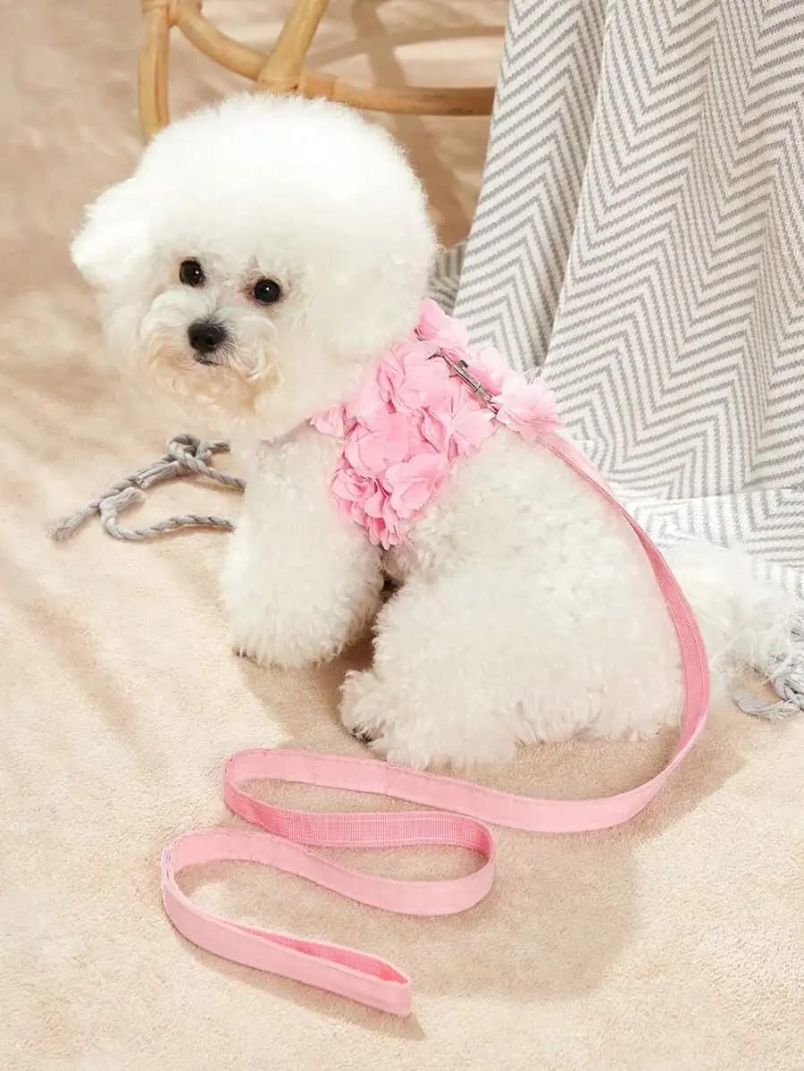 1 set di cinturini per il petto e guinzaglio con motivo floreale rosa per cani e gatti