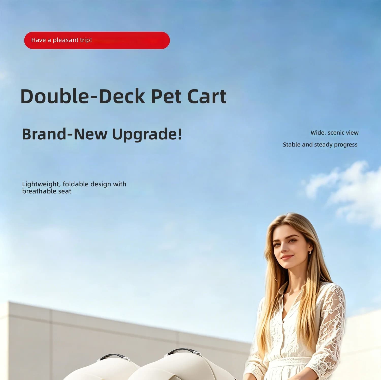 Pet Stroller for Twins, Detachable Foldable Lightweight Cat Dog Carrier, Aluminum Frame, Easy Travel Pet Carriage