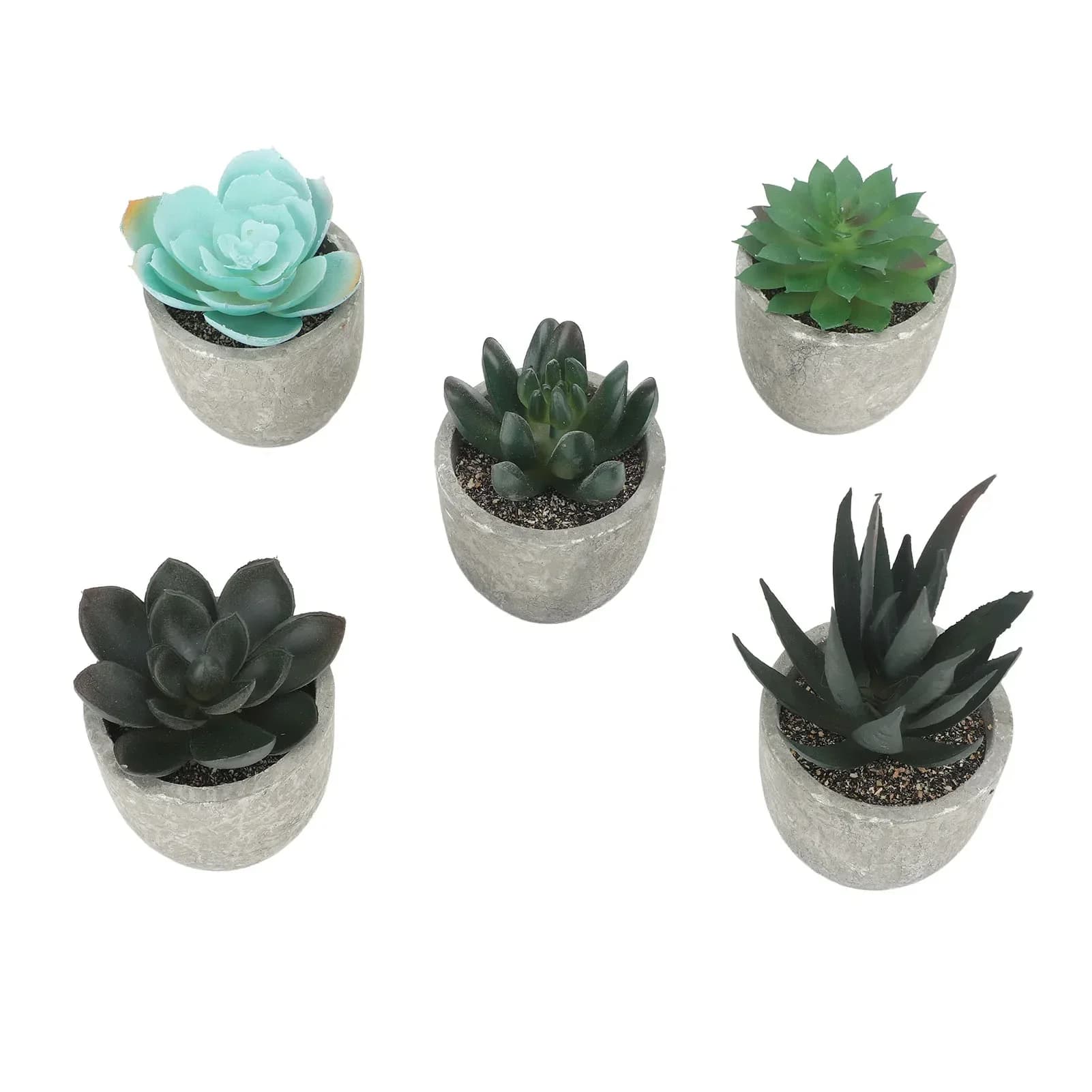 5 pieces of artificial succulent plants in pot assorted mini decorative faux plants in pot fat plants in paper pulp pot