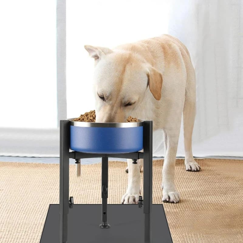 Supporto per ciotola per cani in metallo Cani da compagnia Supporto per ciotola per gatti Larghezza regolabile Altezza Proteggi ciotole per colonna vertebrale cervicale Forniture per prodotti per animali domestici