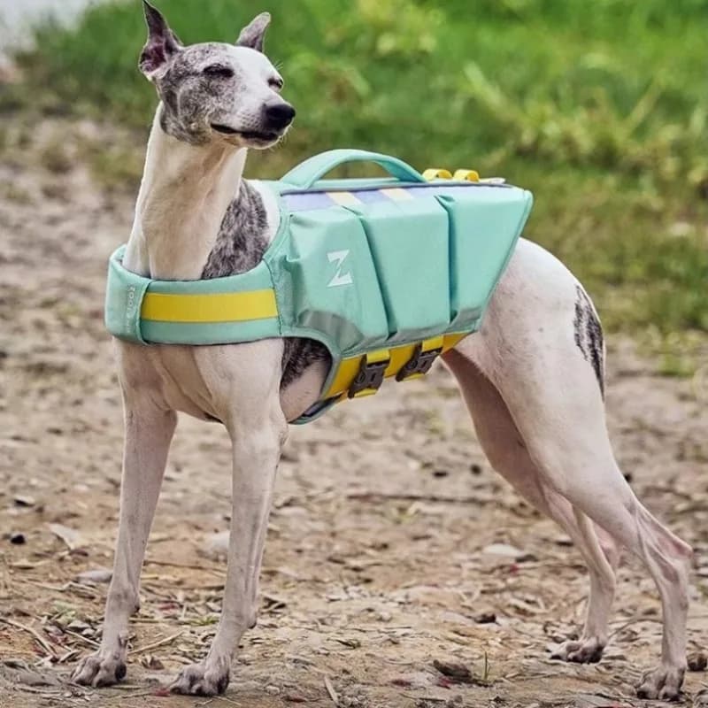 Dog Life Jacket for Small Medium Pets Adjustable Pet Swim Vest for Pool Beach High Buoyancy Flotation Suit Safety Water Gear