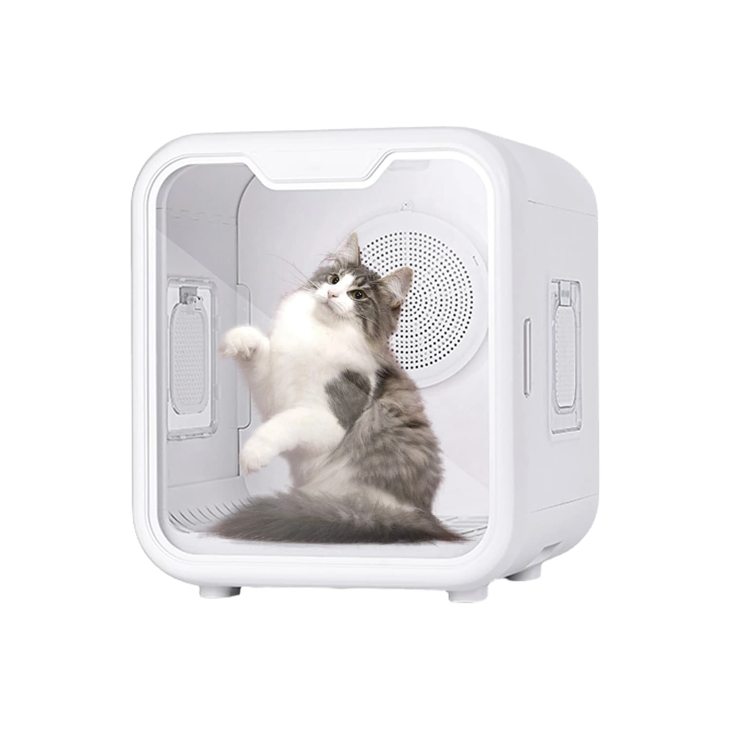 Asciugacapelli Automatico Professionale per Animali Domestici, Spazzole per la Toelettatura di Cani e Gatti in Materiale PP per la Rimozione del Pelo, Cura degli Animali Domestici