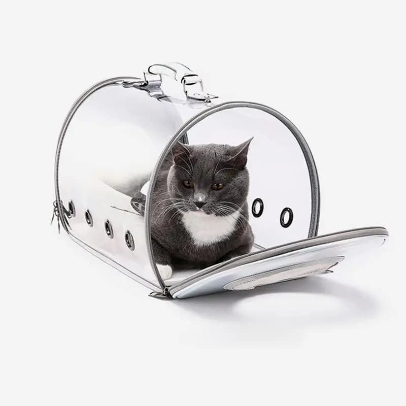 Cat Pet Carrier zaino Space Pet Handbag trasparente Bubble Pet zaino trasporto pacchetto traspirante forniture per animali domestici per cani