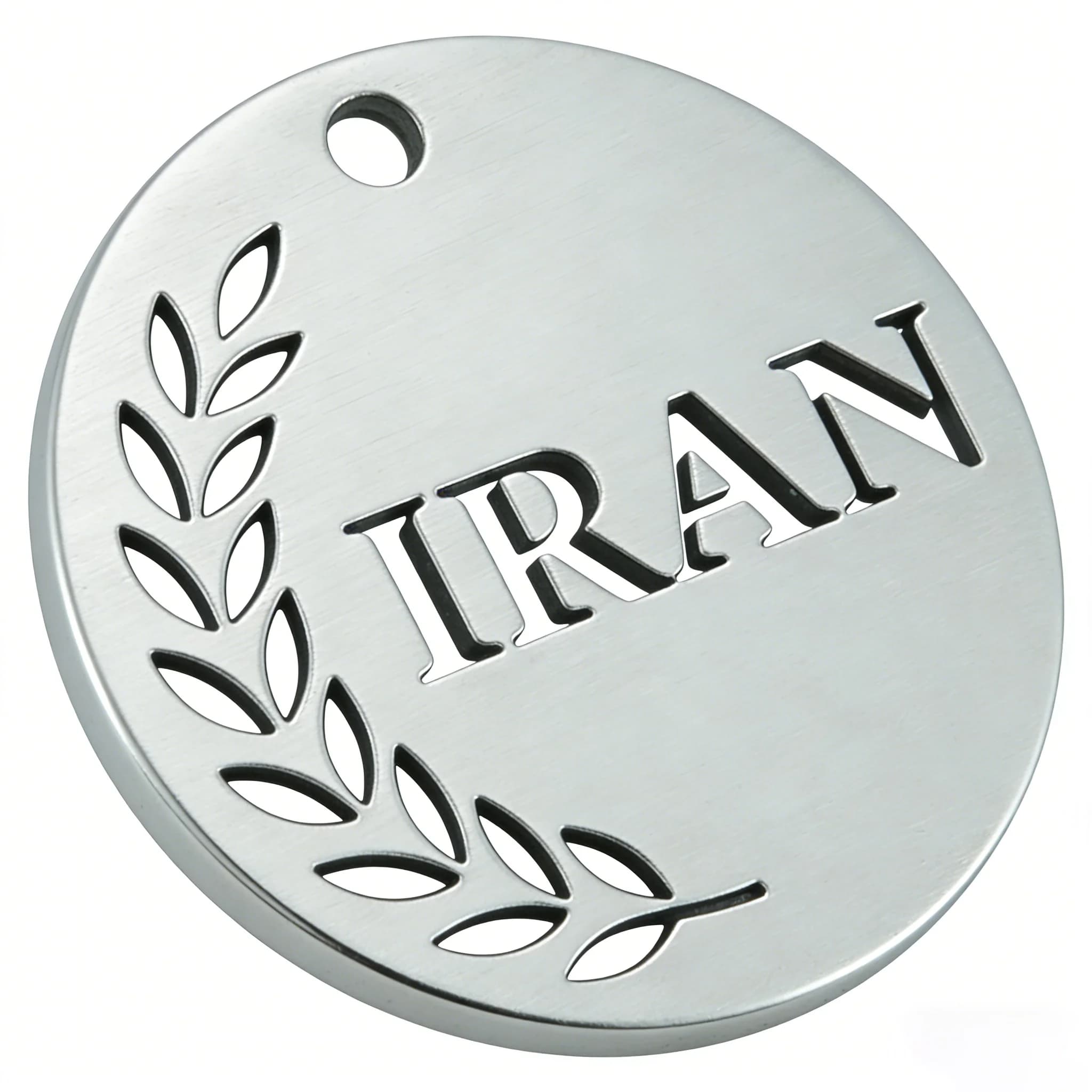 Fnixtar Custom 100pcs 20mm Stainless Steel Heart Round Disc Olive Branch Iran Map Pendant for Necklace Jewelry Accessories