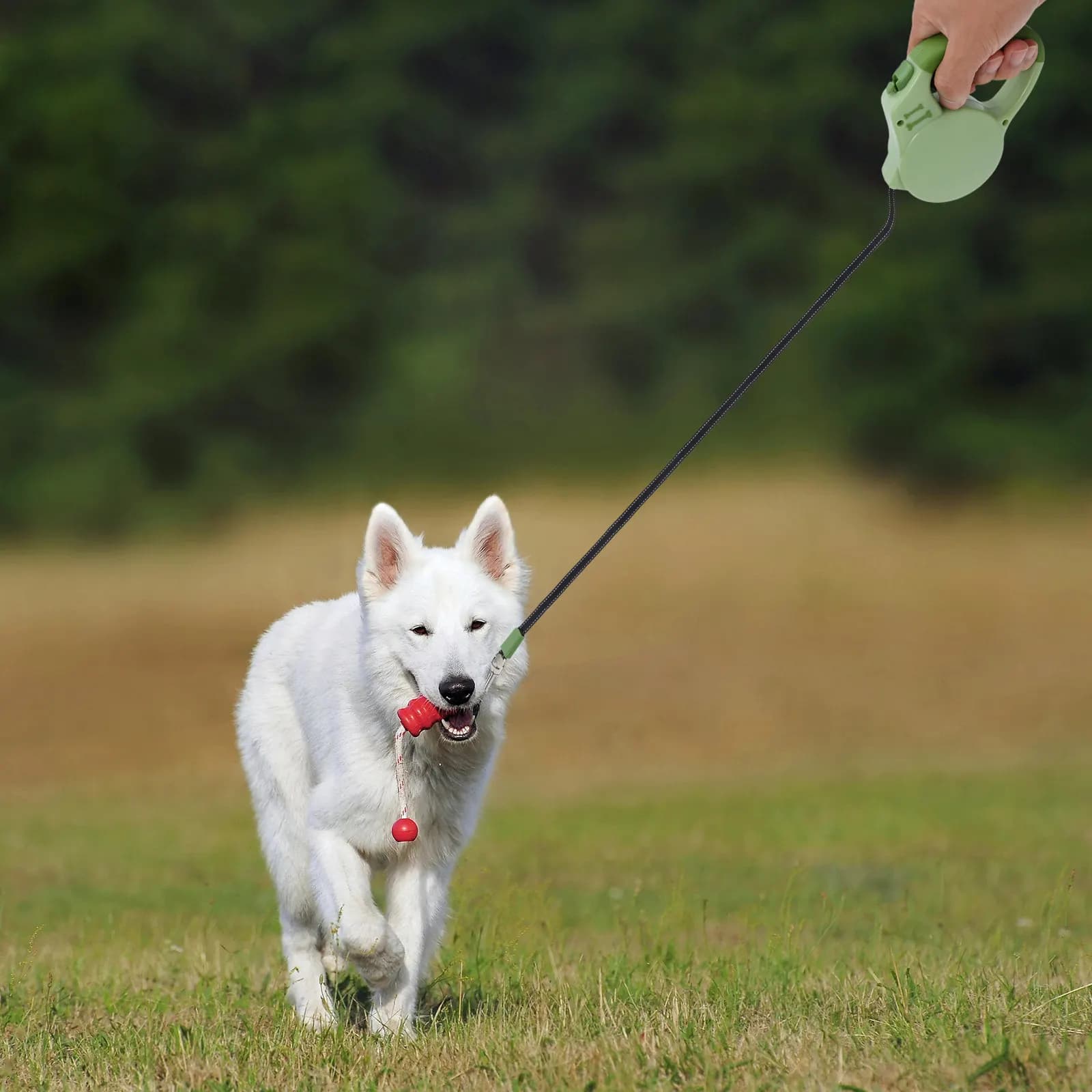 Guinzaglio Retrattile per Cani Resistente, in Nylon, per Cani Piccoli e Medi, Automatico con Impugnatura Riflettente di Sicurezza