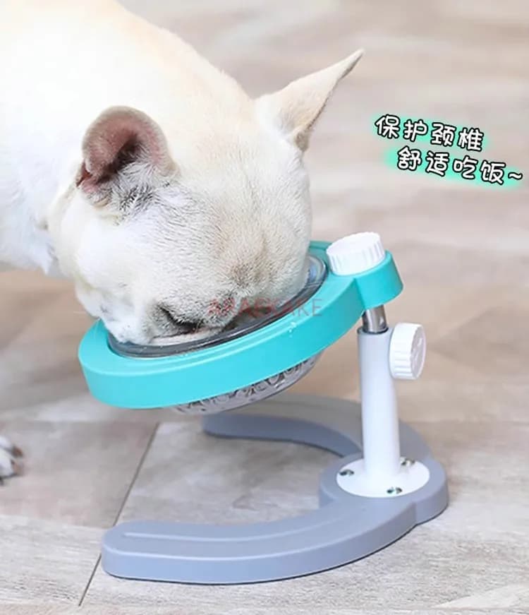 Ciotola per cani, Ciotola per gatti, Ciotola per alimenti trasparente con sollevamento regolabile, Protezione alta del piede e del collo, Acqua potabile per orsacchiotti, Anti ribaltamento