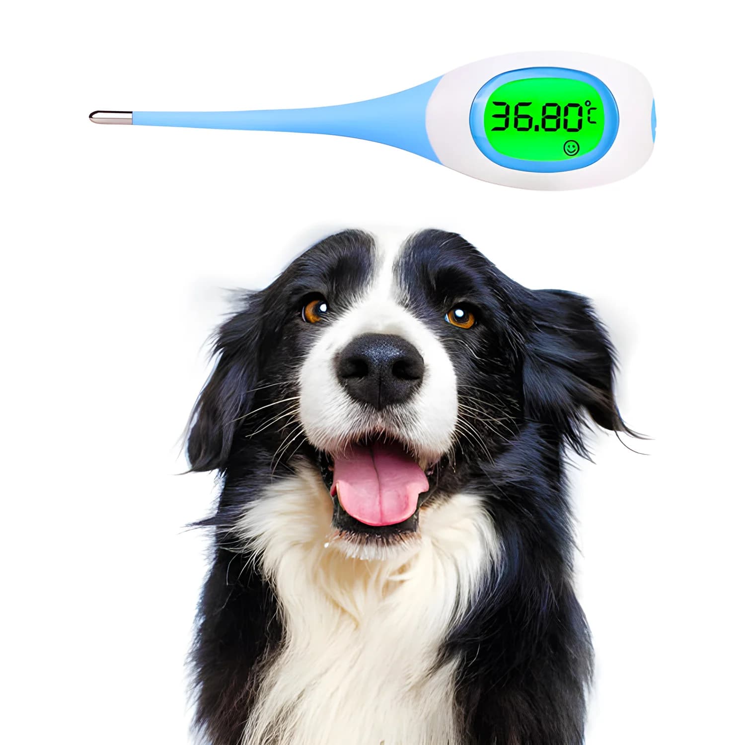 Termometro intelligente per animali domestici e bestiame ad alta precisione - Termometro veterinario professionale per gatti, cani, cavalli, bovini