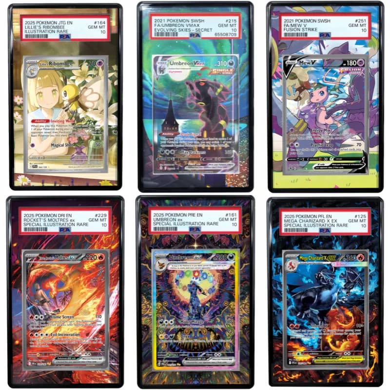 Espositore per Arte Anime Pokémon Zekrom Charizard Umbreon Dragonite, Custodia Protettiva in Acrilico per Fan Art di Giochi Anime, Regalo per Fan, Portachiavi