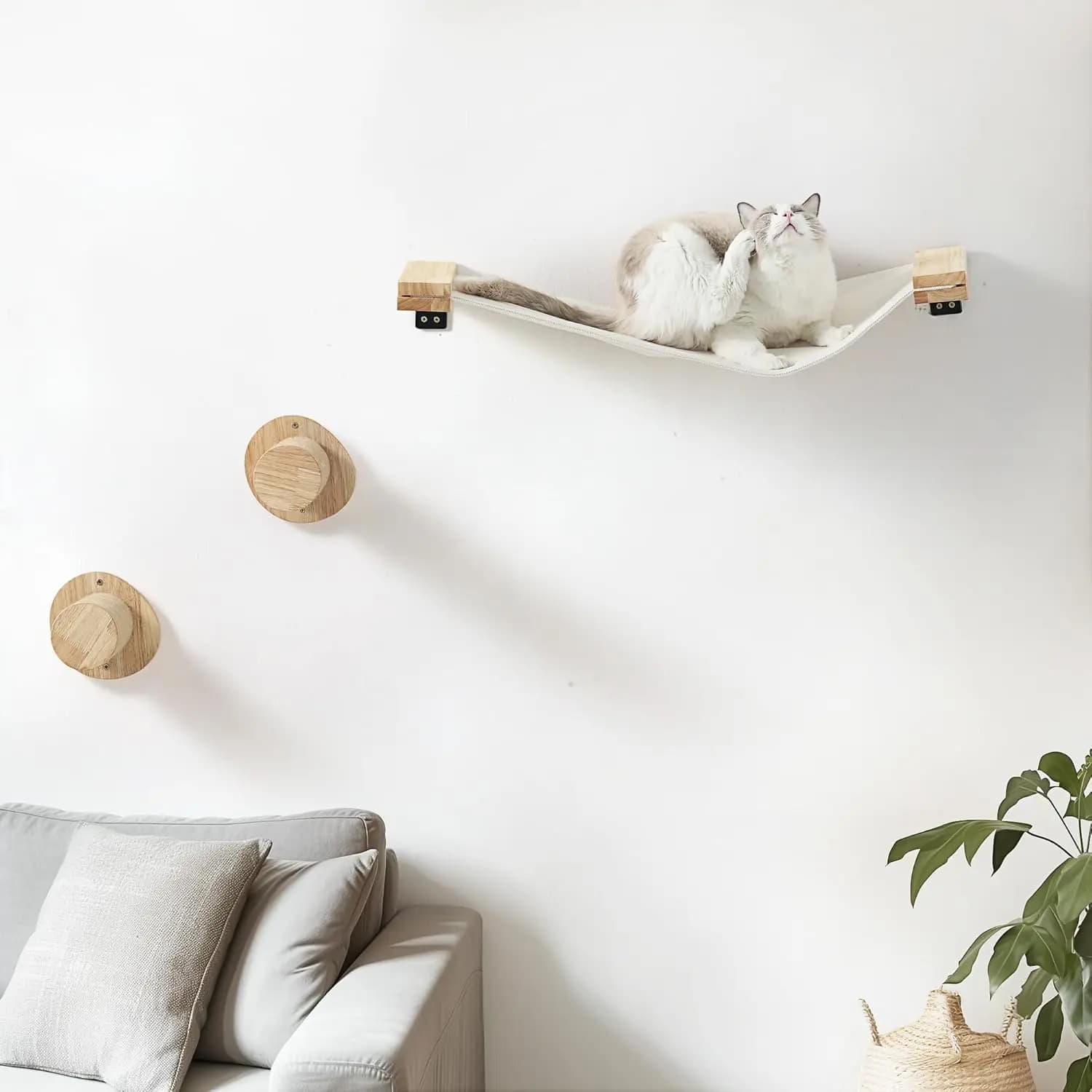 Set di ripiani da parete per gatti in 2 pezzi, posatoi da arrampicata in legno massello di gomma per dormire e giocare, facile installazione su cartongesso