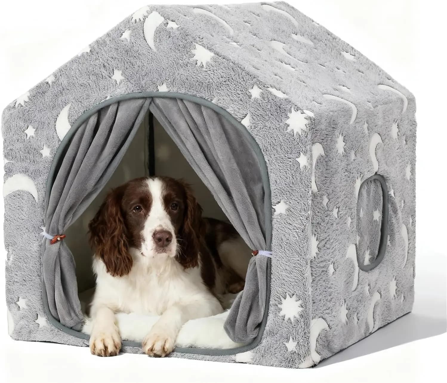 Cuccia per Cani Luminosa Notturna con Struttura, Lavabile, per Interni, per Animali Domestici di Piccola e Media Taglia fino a 18 kg